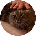 Loëva Silvestre profile picture